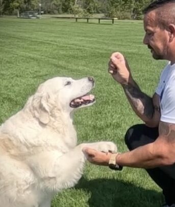 Chris Edge coaching an owner and dog during in-home dog training in Edmonton